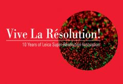 10yrs Super-Resolution fmt