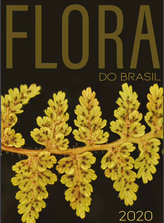 FloraDoBrasil