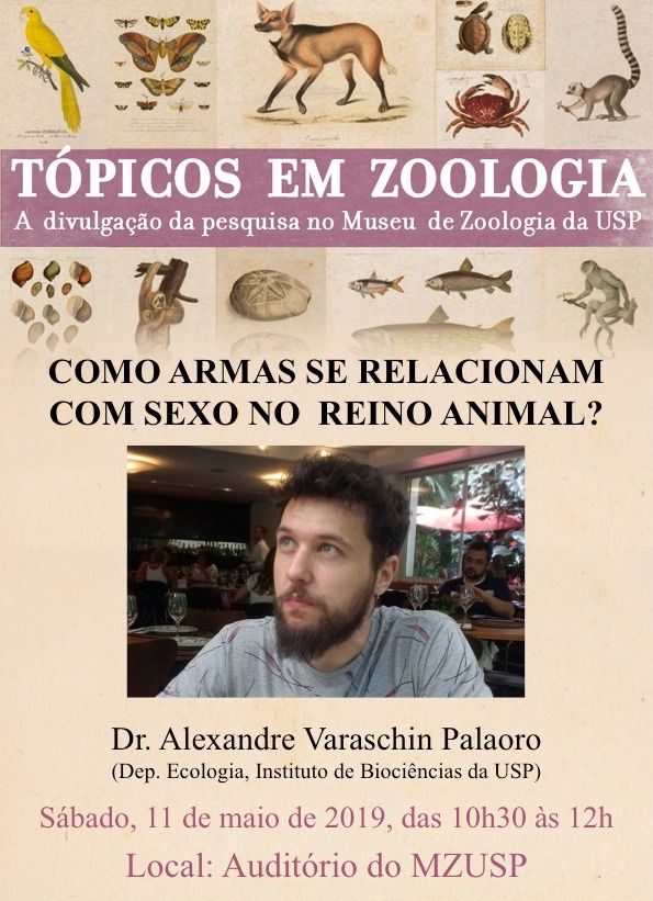 Palestra AlexandrePalaoro