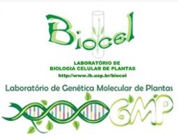 biocel
