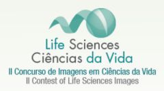 life sciences fmt